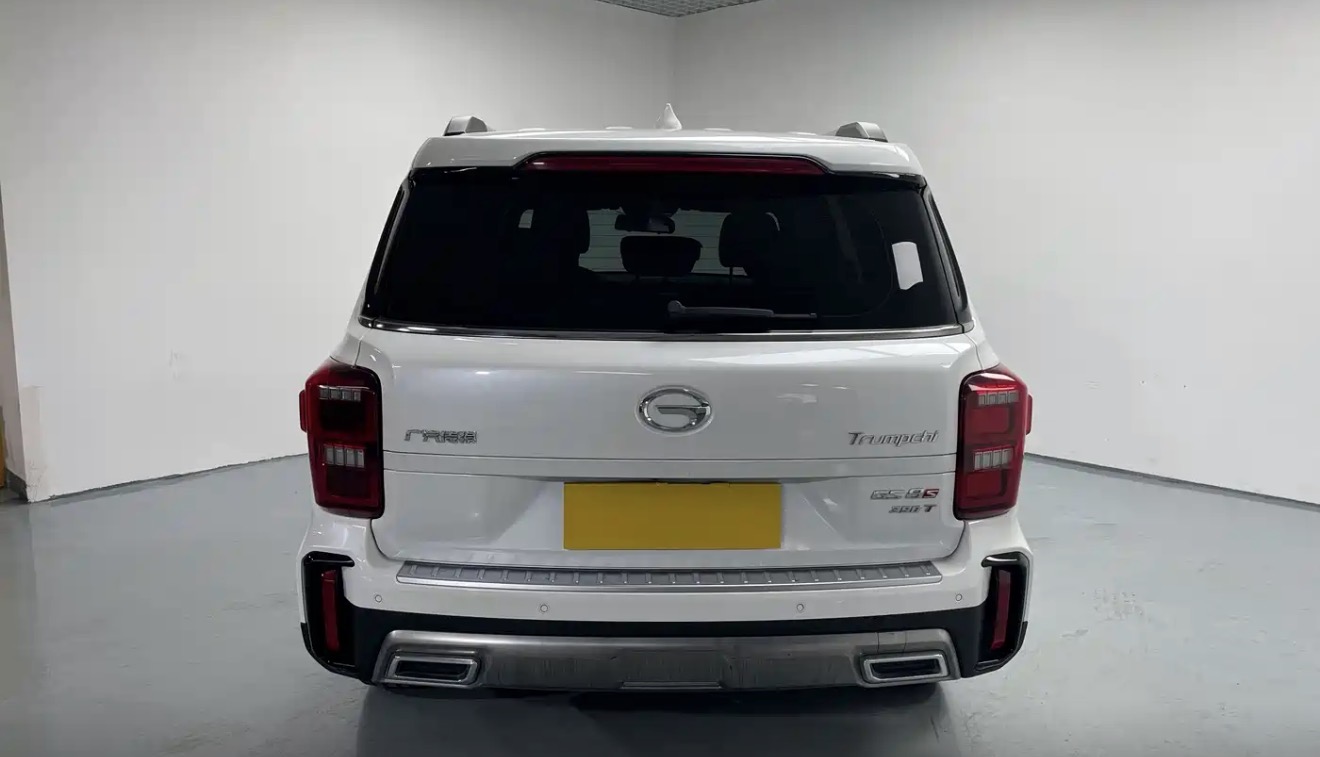 2020 GAC GS8